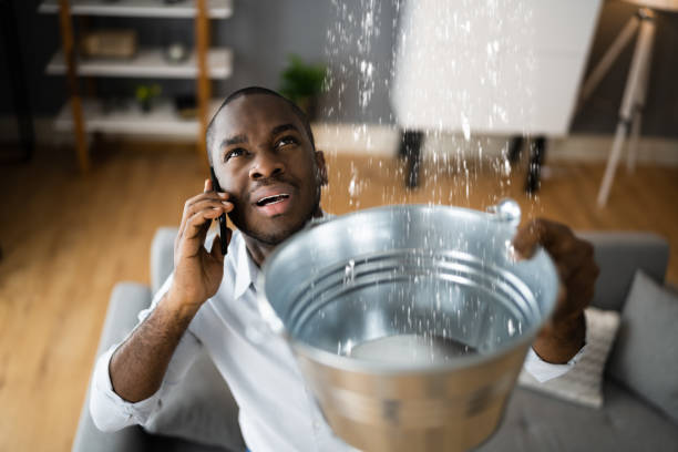 Best Water damage cleanup near me  in Five Points, NC