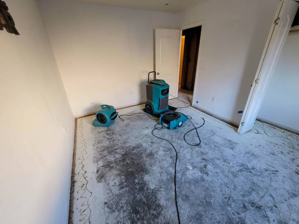 Best Residential water damage restoration  in Five Points, NC