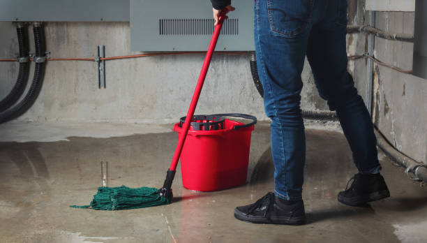Best Mold removal after water damage  in Five Points, NC