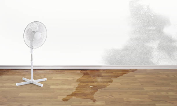 Best Water damage restoration process  in Five Points, NC