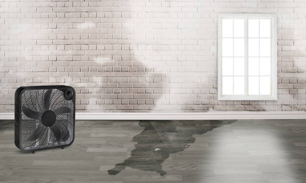 Best Emergency water damage restoration  in Five Points, NC