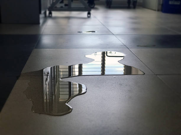 Best 24/7 water damage repair  in Five Points, NC