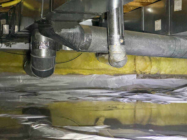 Best Ceiling water damage repair  in Five Points, NC