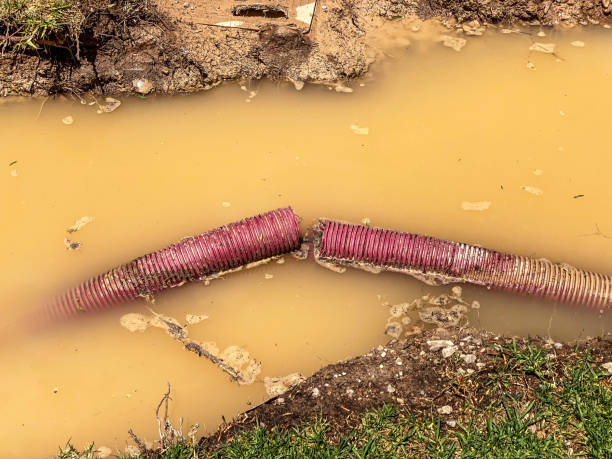 Best Flood damage cleanup  in Five Points, NC
